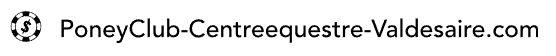 PoneyClub-Centreequestre-Valdesaire.com – Betting Strategies